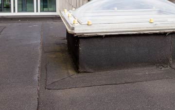 disadvantages of Pale Green flat roofs